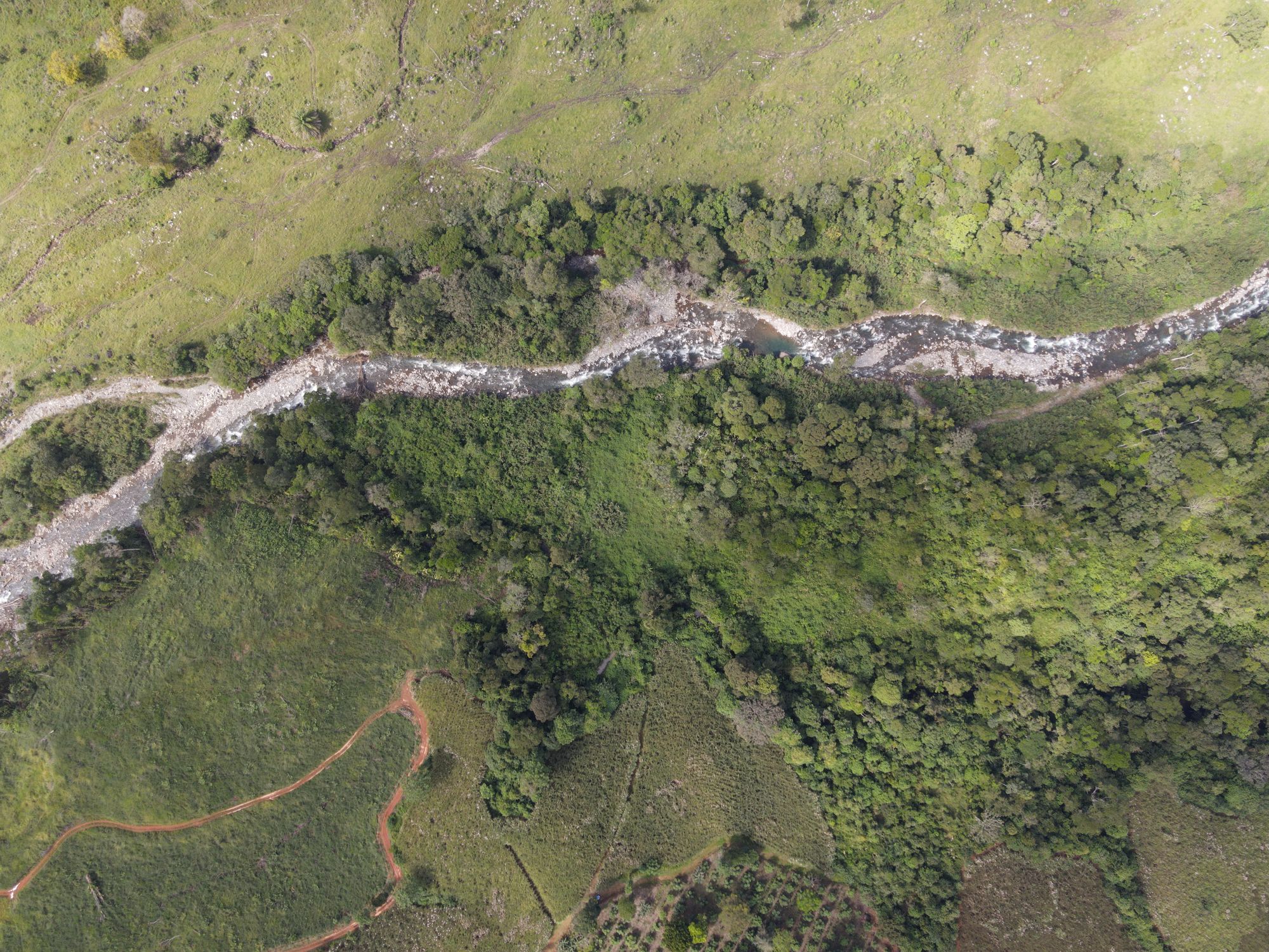 Some areas remain as a forest to protect the river. You can see the contrast with the degradation of the cattle pastures.